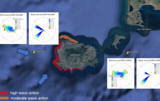 Rose dei venti e delle onde in due diverse località dell'isola di Ischia
